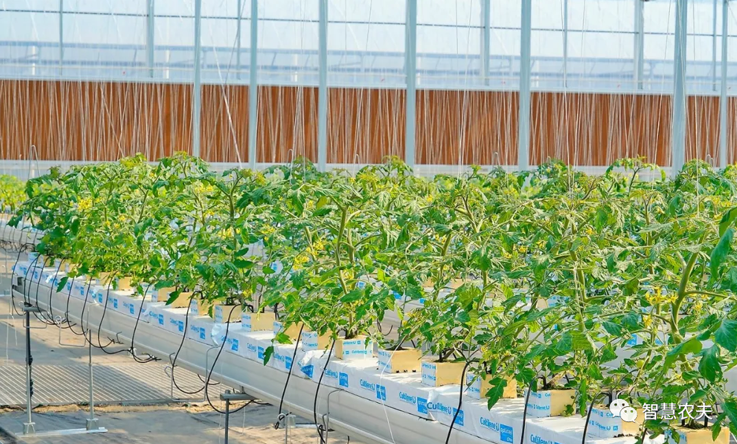 農業(yè)部出手，智慧農業(yè)將迎來七個方面全面突破！