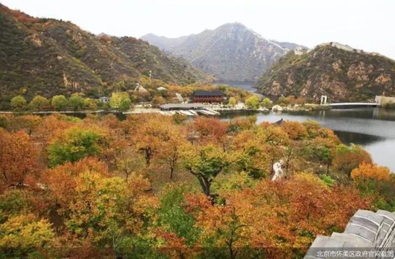 京郊“打卡”熱度持續(xù)，北京農(nóng)業(yè)“附加值”亮眼