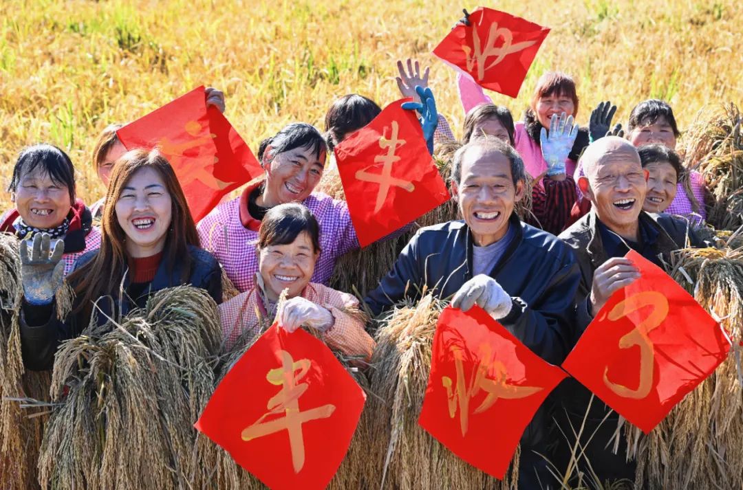 農(nóng)民日?qǐng)?bào)仲農(nóng)平文章：日出東方 農(nóng)道大光