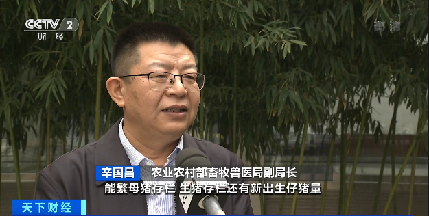 豬肉價格，為何漲了？接下來怎么走？農(nóng)業(yè)農(nóng)村部最新回應(yīng)