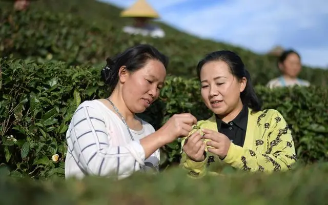 人民日報(bào)：推動涉農(nóng)職業(yè)教育高質(zhì)量發(fā)展