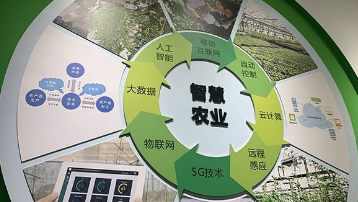 基礎(chǔ)設(shè)施薄弱掣肘智慧農(nóng)業(yè) 中國電信5G云網(wǎng)破難題
