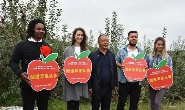 【農(nóng)業(yè)模式】農(nóng)產(chǎn)品銷售創(chuàng)新點在哪里？十種新模式助力未來農(nóng)業(yè)