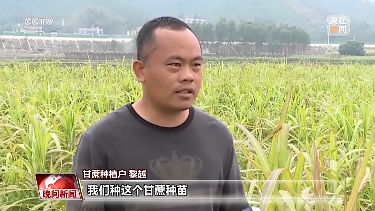 全力備春耕 科學育種做強農(nóng)業(yè)“芯片”