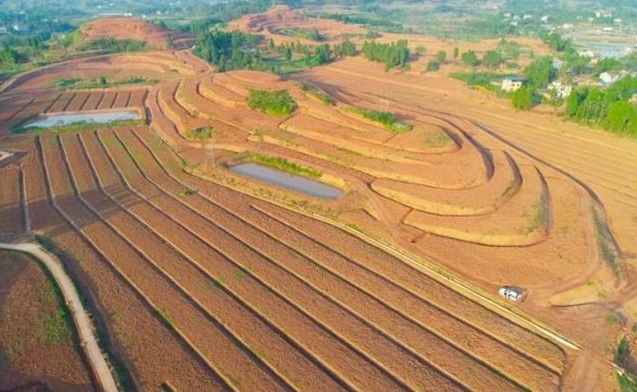 重慶在全國率先實施丘陵山區(qū)高標準農田改造提升示范工程