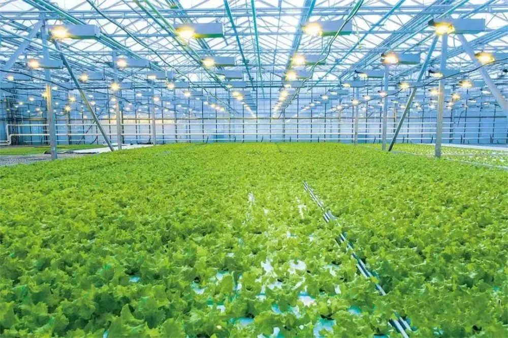 2023年中國農(nóng)食系統(tǒng)十大趨勢，引發(fā)農(nóng)業(yè)產(chǎn)業(yè)鏈變革