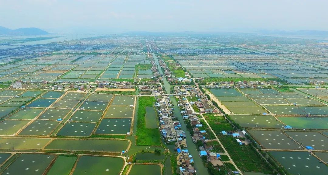 加快建設(shè)農(nóng)業(yè)強國 全面推進鄉(xiāng)村振興