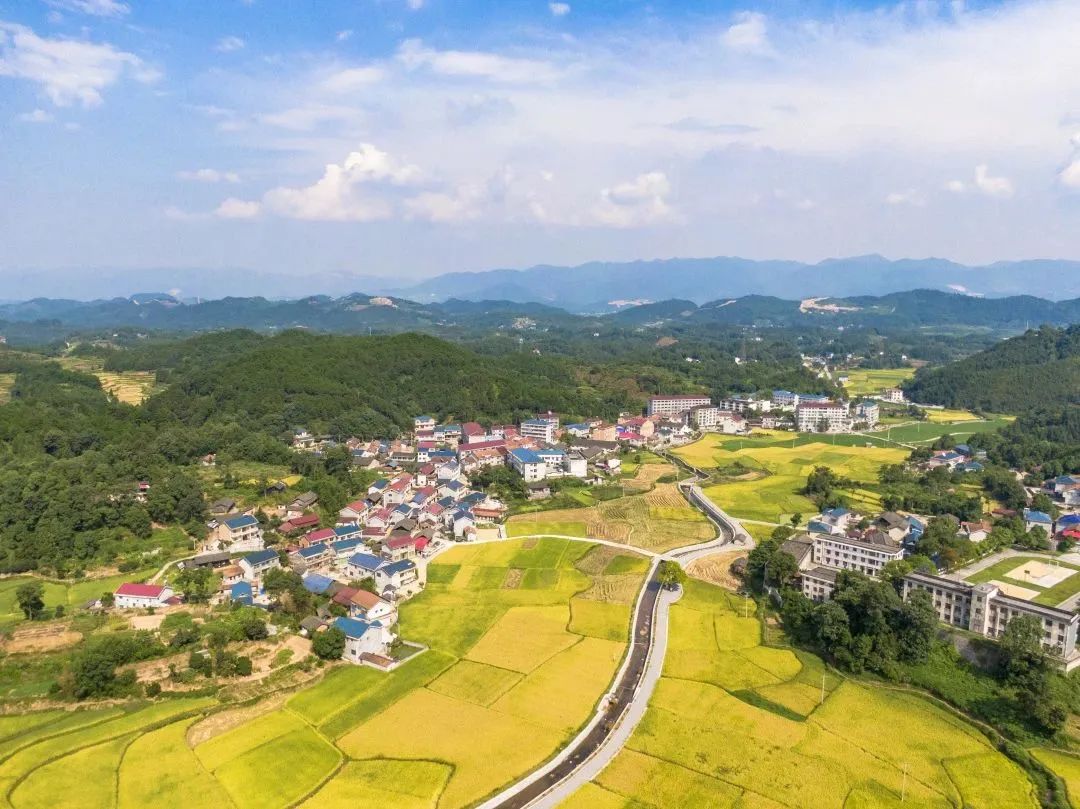 我國(guó)鄉(xiāng)村人口變動(dòng)趨勢(shì)及其對(duì)鄉(xiāng)村建設(shè)的影響