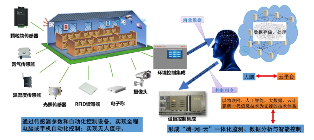 農(nóng)業(yè)農(nóng)村部發(fā)布《肉雞立體養(yǎng)殖技術(shù)指導(dǎo)意見》