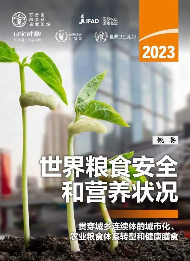 加強(qiáng)韌性建設(shè) 應(yīng)對(duì)糧食危機(jī)