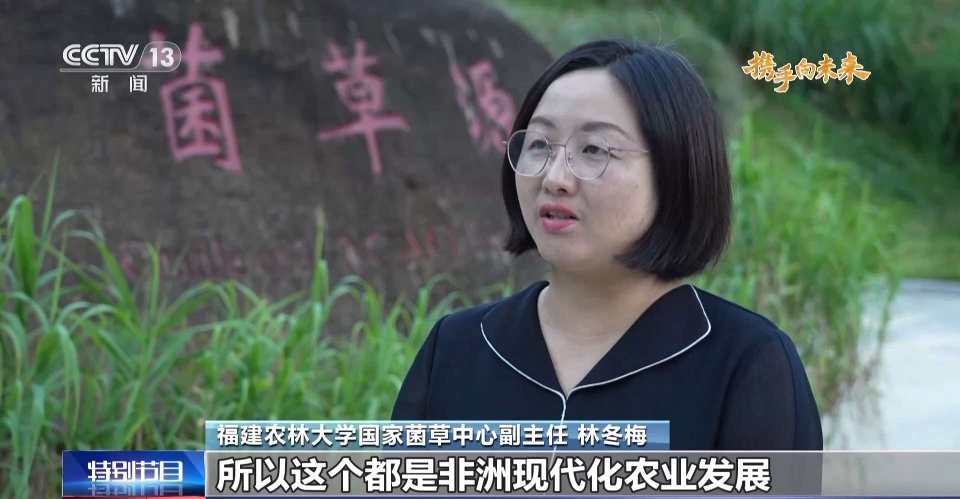 來(lái)自中國(guó)的菌草成為非洲多國(guó)民眾的“致富草”
