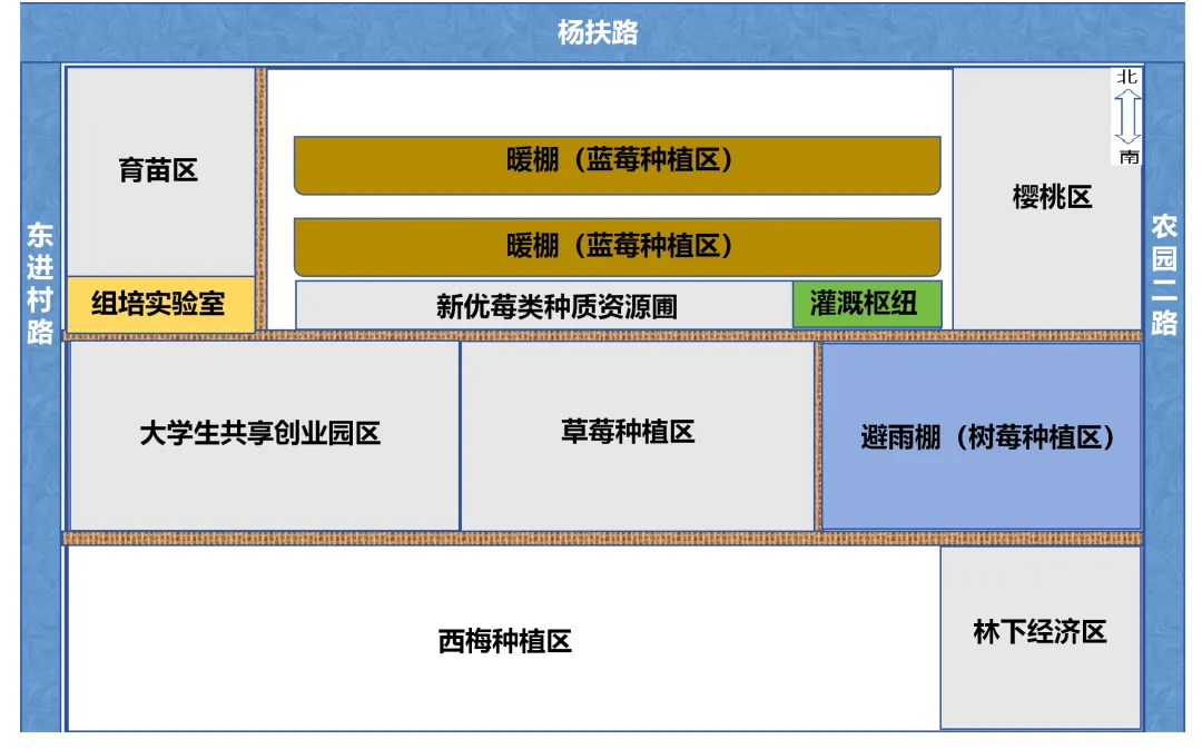鄉(xiāng)村行·看振興 | 掛職博士實(shí)干謀振興